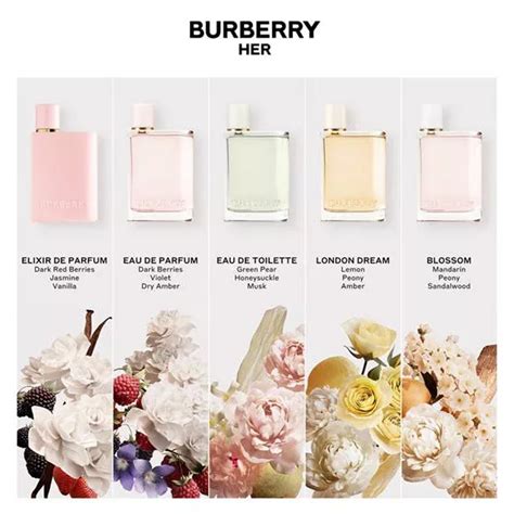 burberry watch bu 10302|burberry her fragrance.